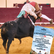 Nuno Santana: A próxima corrida no Campo Pequeno 