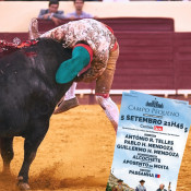 Leonardo Mathias: “A corrida de 5 de Setembro no Campo Pequeno será o culminar do trabalho e dedicação das corridas anteriores”
