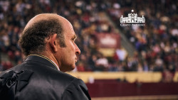 António Ribeiro Telles sobre a corrida de quinta-feira: “De grande significado pessoal e profissional”