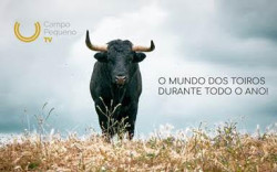 Resumo Corrida 5 de Setembro