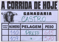 Os pesos dos Fernandes de Castro a lidar, este noite ,em Reguengos de Monsaraz